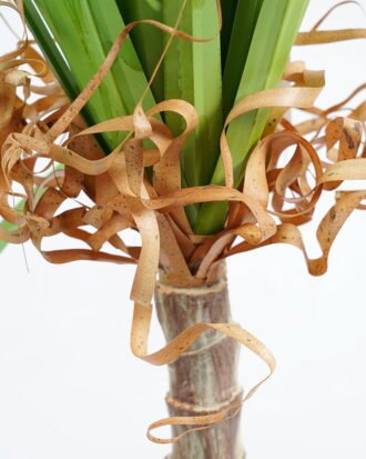 Artificial Grass 66*53*87CM Grass potted in pp pot GS-61921006 Grass&PLANT YeahFlower is one of Chinese leading OEM manufacturers and exporters , supplying the silk flowers, wholesale artificial trees