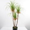 Artificial Grass 75*72*120CM Grass potted in pp pot GS-61921008 Grass&PLANT 3,000+ sqm showroom with thousands of artificial flowers, plants & trees ready for global sourcing.