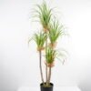 Artificial Grass 84*81*180CM Grass potted in pp pot GS-61921009 Grass&PLANT 3,000+ sqm showroom with thousands of artificial flowers, plants & trees ready for global sourcing.