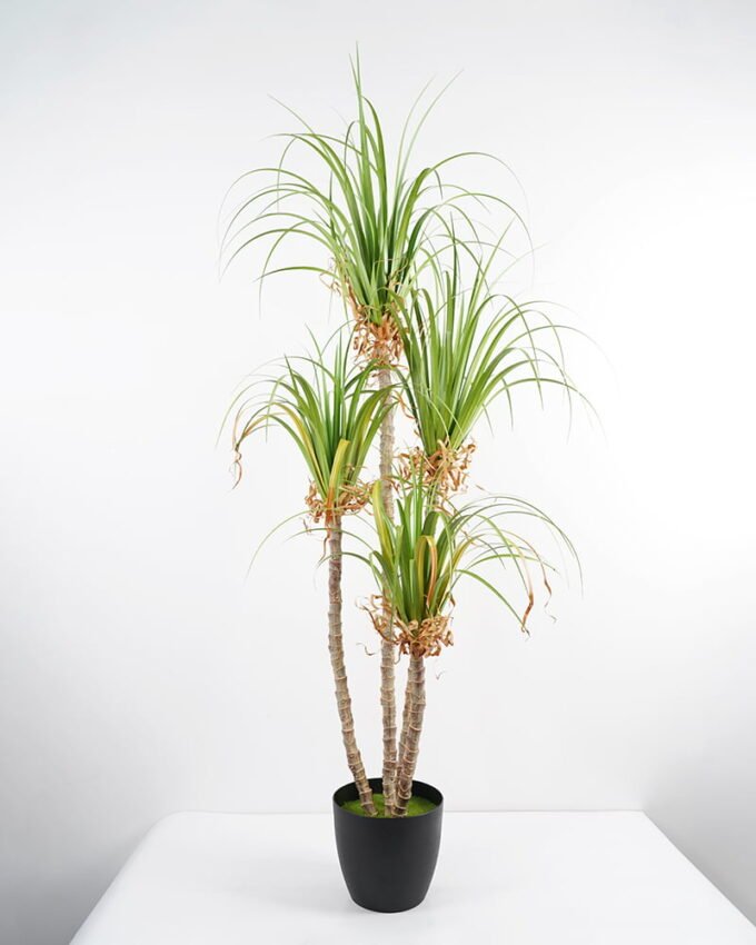 Artificial Grass 84*81*180CM Grass potted in pp pot GS-61921009 Grass&PLANT 3,000+ sqm showroom with thousands of artificial flowers, plants & trees ready for global sourcing.