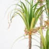 Artificial Grass 84*81*180CM Grass potted in pp pot GS-61921009 Grass&PLANT 3,000+ sqm showroom with thousands of artificial flowers, plants & trees ready for global sourcing.
