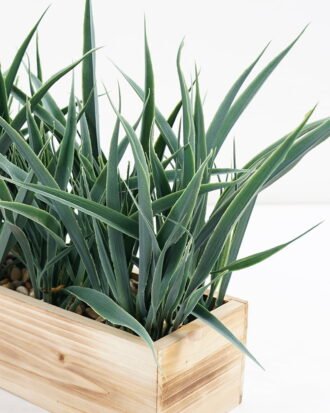 Artificial Plant 33*13*23cm Artificial grass in wood pot GS-51721047 Potted Flowers&Plants YeahFlower is one of Chinese leading OEM manufacturers and exporters , supplying the silk flowers, wholesale artificial trees