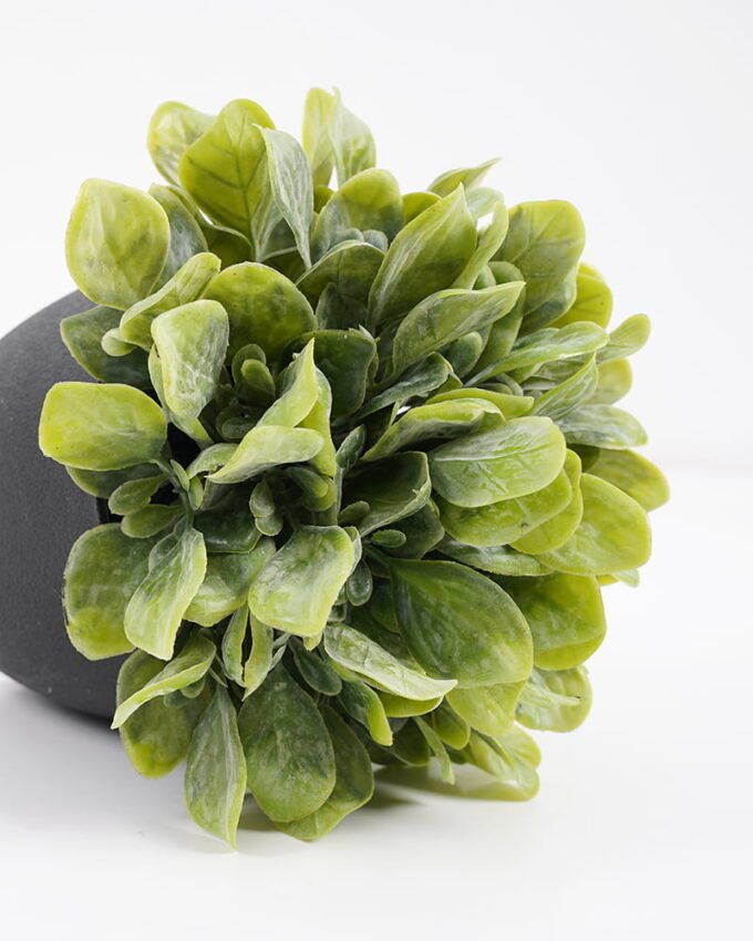 Artificial Plant 15*15*17cm  Artificial plants in pp pot GS-51721041 Potted Flowers&Plants 3,000+ sqm showroom with thousands of artificial flowers, plants & trees ready for global sourcing.