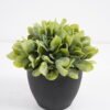 Artificial Plant 15*15*17cm  Artificial plants in pp pot GS-51721041 Potted Flowers&Plants 3,000+ sqm showroom with thousands of artificial flowers, plants & trees ready for global sourcing.