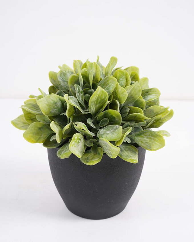 Artificial Plant 15*15*17cm  Artificial plants in pp pot GS-51721041 Potted Flowers&Plants 3,000+ sqm showroom with thousands of artificial flowers, plants & trees ready for global sourcing.