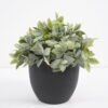 Artificial Plant 18*18*20cm  Artificial plants in pp pot GS-51721043 Potted Flowers&Plants YeahFlower is one of Chinese leading OEM manufacturers and exporters , supplying the silk flowers, wholesale artificial trees