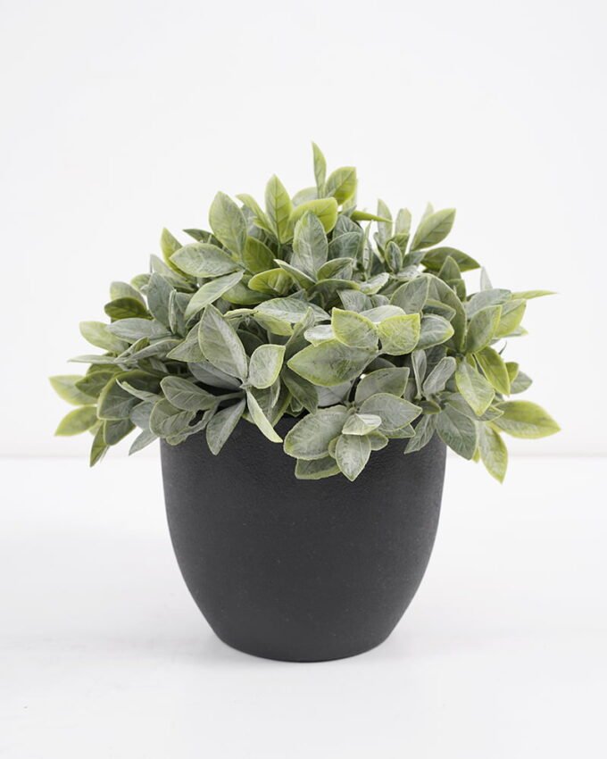 Artificial Plant 18*18*20cm  Artificial plants in pp pot GS-51721043 Potted Flowers&Plants YeahFlower is one of Chinese leading OEM manufacturers and exporters , supplying the silk flowers, wholesale artificial trees