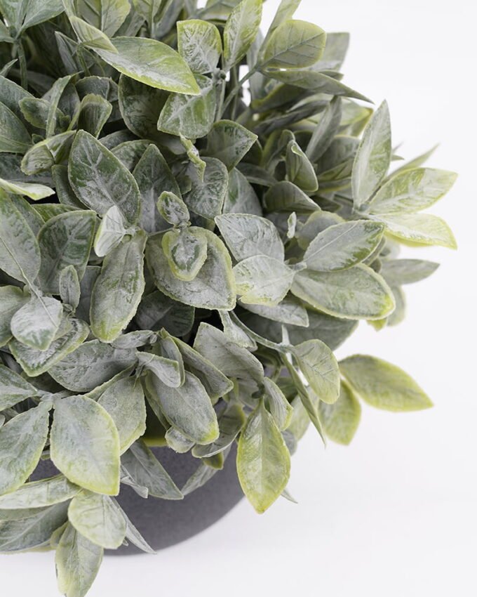 Artificial Plant 18*18*20cm  Artificial plants in pp pot GS-51721043 Potted Flowers&Plants YeahFlower is one of Chinese leading OEM manufacturers and exporters , supplying the silk flowers, wholesale artificial trees