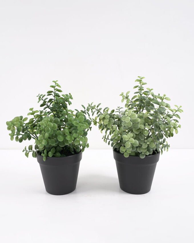 Artificial Plant Artificial plants in pp pot GS-59121005 Potted Flowers&Plants 3,000+ sqm showroom with thousands of artificial flowers, plants & trees ready for global sourcing.