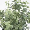 Artificial Plant Artificial plants in pp pot GS-59121005 Potted Flowers&Plants 3,000+ sqm showroom with thousands of artificial flowers, plants & trees ready for global sourcing.