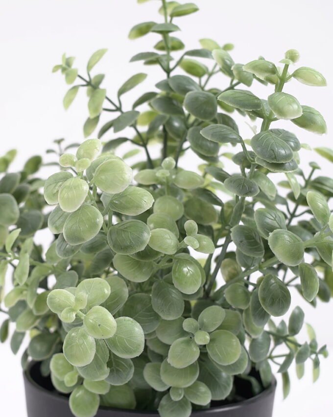 Artificial Plant Artificial plants in pp pot GS-59121005 Potted Flowers&Plants 3,000+ sqm showroom with thousands of artificial flowers, plants & trees ready for global sourcing.