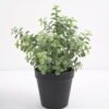 Artificial Plant Artificial plants in pp pot GS-59121005 Potted Flowers&Plants 3,000+ sqm showroom with thousands of artificial flowers, plants & trees ready for global sourcing.
