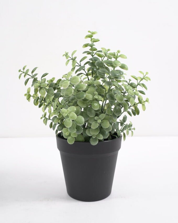 Artificial Plant Artificial plants in pp pot GS-59121005 Potted Flowers&Plants 3,000+ sqm showroom with thousands of artificial flowers, plants & trees ready for global sourcing.