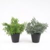 Artificial Plant Artificial plants in pp pot GS-59121016 Potted Flowers&Plants YeahFlower is one of Chinese leading OEM manufacturers and exporters , supplying the silk flowers, wholesale artificial trees
