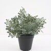 Artificial Plant Artificial plants in pp pot GS-59121016 Potted Flowers&Plants YeahFlower is one of Chinese leading OEM manufacturers and exporters , supplying the silk flowers, wholesale artificial trees