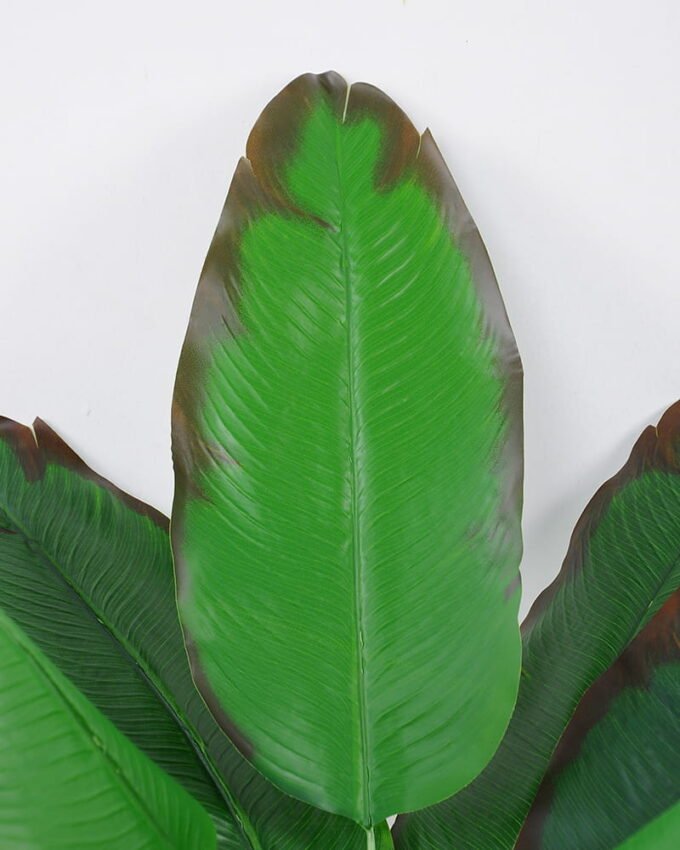 Artificial-Plant-Banana-leaves-9-GS-62021016-R1_9-1.jpg Artificial Plant 28*80cm Banana leaves*9 GS-62021016-R1 Leaves&Sprays&Foliages YeahFlower is one of Chinese leading OEM manufacturers and exporters , supplying the silk flowers, wholesale artificial trees