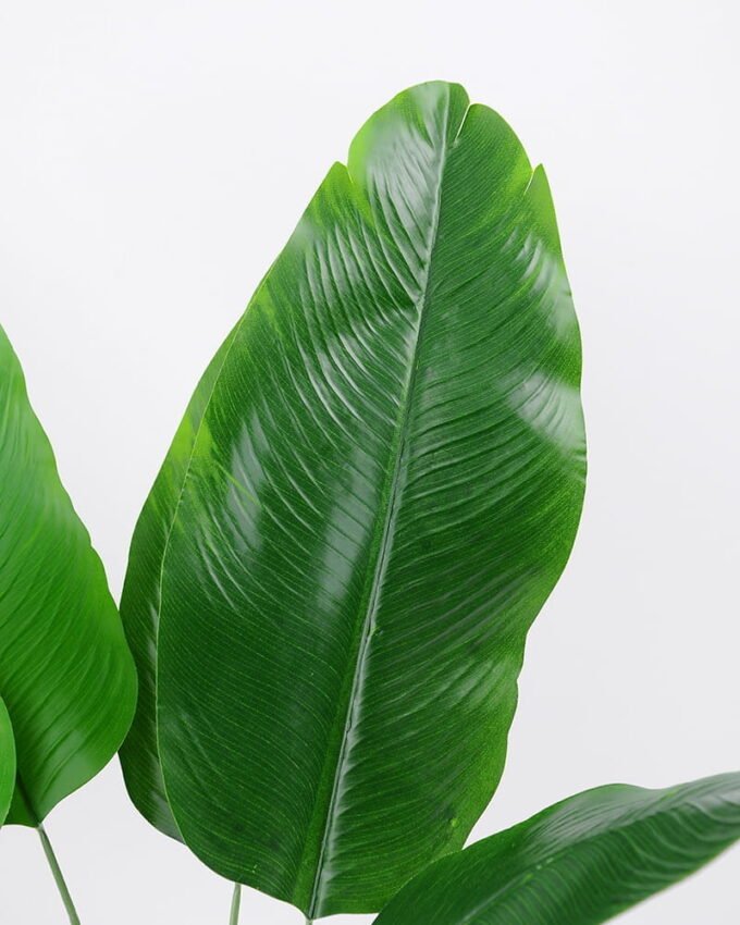 Artificial-Plant-Banana-leaves-9-GS-62021016_2-1.jpg Artificial Plant 28*80cm Banana leaves*9 GS-62021016 Leaves&Sprays&Foliages YeahFlower is one of Chinese leading OEM manufacturers and exporters , supplying the silk flowers, wholesale artificial trees
