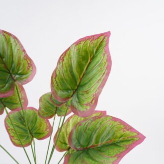 Artificial Plant 22*54CM Big leaf bush x12 GS-36021008 Leaves&Sprays&Foliages YeahFlower is one of Chinese leading OEM manufacturers and exporters , supplying the silk flowers, wholesale artificial trees