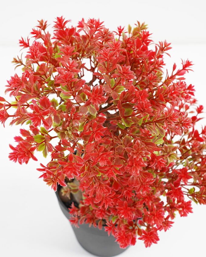 Artificial Plant 18*16*27cm Bonsai tree in pp pot GS-51721023 Potted Flowers&Plants YeahFlower is one of Chinese leading OEM manufacturers and exporters , supplying the silk flowers, wholesale artificial trees