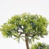 Artificial Plant 16*13*26cm Bonsai tree in pp pot GS-51721024 Potted Flowers&Plants YeahFlower is one of Chinese leading OEM manufacturers and exporters , supplying the silk flowers, wholesale artificial trees