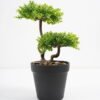 Artificial Plant 17*14*26cm Bonsai tree in pp pot GS-51721026 Potted Flowers&Plants YeahFlower is one of Chinese leading OEM manufacturers and exporters , supplying the silk flowers, wholesale artificial trees