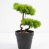 Artificial Plant 17*14*26cm Bonsai tree in pp pot GS-51721027 Potted Flowers&Plants YeahFlower is one of Chinese leading OEM manufacturers and exporters , supplying the silk flowers, wholesale artificial trees