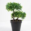 Artificial Plant 19*16*26cm Bonsai tree in pp pot GS-51721028 Potted Flowers&Plants YeahFlower is one of Chinese leading OEM manufacturers and exporters , supplying the silk flowers, wholesale artificial trees