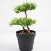 Artificial Plant 17*14*26cm Bonsai tree in pp pot GS-51721030 Potted Flowers&Plants YeahFlower is one of Chinese leading OEM manufacturers and exporters , supplying the silk flowers, wholesale artificial trees