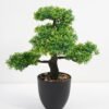 Artificial Plant 31*30*38cm Bonsai tree in pp pot GS-51721033 Potted Flowers&Plants 3,000+ sqm showroom with thousands of artificial flowers, plants & trees ready for global sourcing.