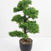 Artificial Plant 41*33*68cm Bonsai tree in pp pot GS-51721035 Potted Flowers&Plants YeahFlower is one of Chinese leading OEM manufacturers and exporters , supplying the silk flowers, wholesale artificial trees
