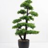 Artificial Plant 41*30*80cm Bonsai tree in pp pot GS-51721037 Potted Flowers&Plants YeahFlower is one of Chinese leading OEM manufacturers and exporters , supplying the silk flowers, wholesale artificial trees
