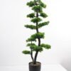 Artificial Plant 34*30*130cm Bonsai tree in pp pot GS-51721039 Potted Flowers&Plants YeahFlower is one of Chinese leading OEM manufacturers and exporters , supplying the silk flowers, wholesale artificial trees