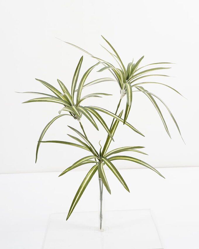 Artificial-Plant-Chlorophytum-3-GS-23121007_4-1.jpg Artificial Plant 37*57CM Chlorophytum*3 GS-23121007 Leaves&Sprays&Foliages YeahFlower is one of Chinese leading OEM manufacturers and exporters , supplying the silk flowers, wholesale artificial trees