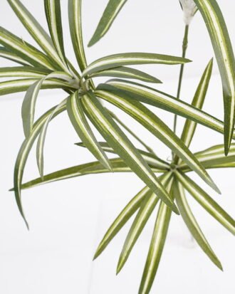 Artificial Plant 37*57CM Chlorophytum*3 GS-23121007 Leaves&Sprays&Foliages YeahFlower is one of Chinese leading OEM manufacturers and exporters , supplying the silk flowers, wholesale artificial trees