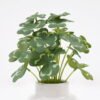 Artificial Plant 10*10*16cm Clover in Ceramic pot GS-03321027-KSM Potted Flowers&Plants YeahFlower is one of Chinese leading OEM manufacturers and exporters , supplying the silk flowers, wholesale artificial trees