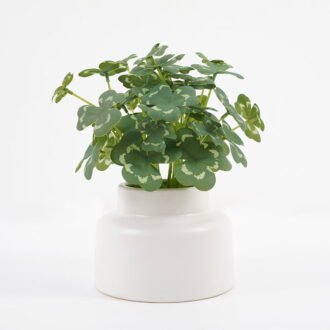Artificial Plant 14*14*17.5cm Clover in ceramic pot GS-03321026-KSM Potted Flowers&Plants YeahFlower is one of Chinese leading OEM manufacturers and exporters , supplying the silk flowers, wholesale artificial trees