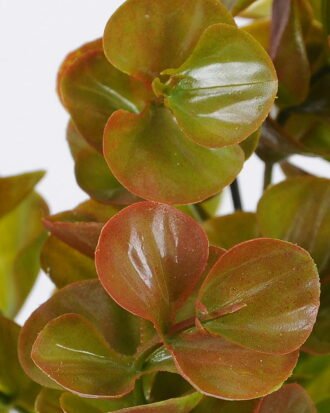 Artificial Plant 22*34cm Eucalyptus bush*6 GS-62021018-R1 Leaves&Sprays&Foliages YeahFlower is one of Chinese leading OEM manufacturers and exporters , supplying the silk flowers, wholesale artificial trees