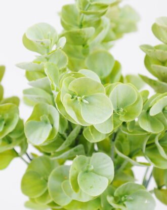 Artificial Plant 22*34cm Eucalyptus bush*6 GS-62021018 Leaves&Sprays&Foliages YeahFlower is one of Chinese leading OEM manufacturers and exporters , supplying the silk flowers, wholesale artificial trees