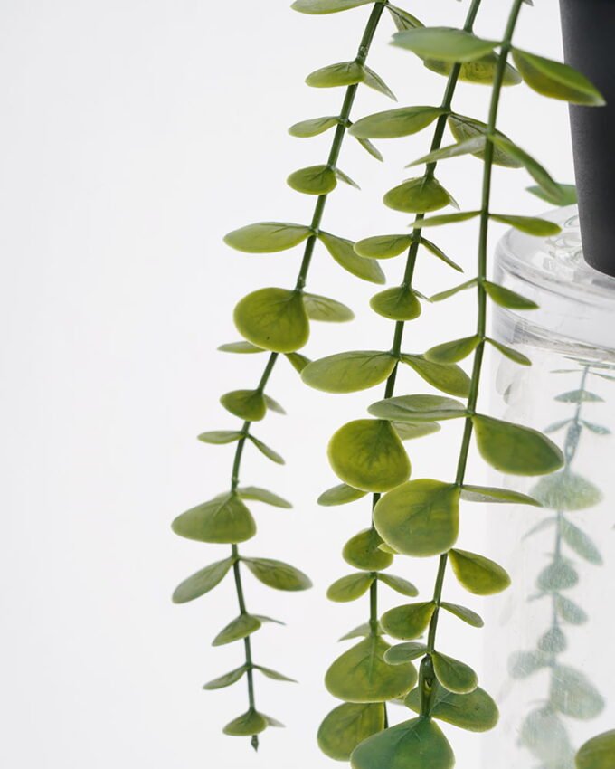 Artificial Plant Eucalyptus in pp pot GS-05521017_5 Artificial Eucalyptus Hanging Greenery plants Potted 18*15*56cm fake Eucalyptus in pp pot GS-05521017 Potted Flowers&Plants YeahFlower is one of Chinese leading OEM manufacturers and exporters , supplying the silk flowers, wholesale artificial trees