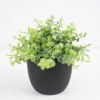 Artificial Plant 15*15*16cm  Eucalyptus in pp pot GS-51721042 Potted Flowers&Plants YeahFlower is one of Chinese leading OEM manufacturers and exporters , supplying the silk flowers, wholesale artificial trees