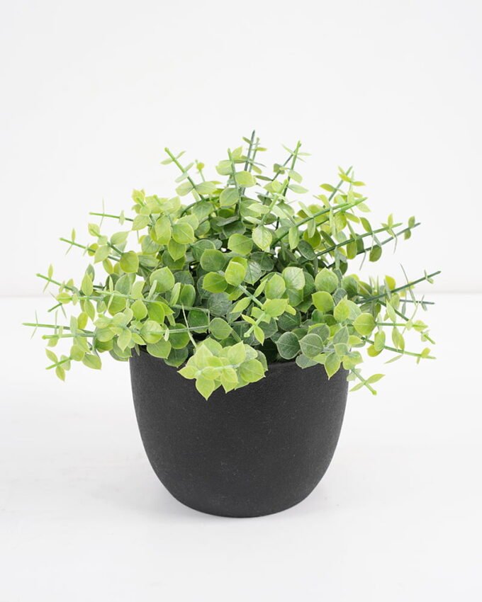 Artificial Plant 15*15*16cm  Eucalyptus in pp pot GS-51721042 Potted Flowers&Plants YeahFlower is one of Chinese leading OEM manufacturers and exporters , supplying the silk flowers, wholesale artificial trees