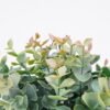 Artificial Plant 21*19*16cm Eucalyptus in pp pot GS-51721059 Potted Flowers&Plants 3,000+ sqm showroom with thousands of artificial flowers, plants & trees ready for global sourcing.