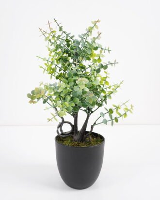 Artificial Plant 14*14*35cm Eucalyptus in pp pot GS-51721060 Potted Flowers&Plants YeahFlower is one of Chinese leading OEM manufacturers and exporters , supplying the silk flowers, wholesale artificial trees