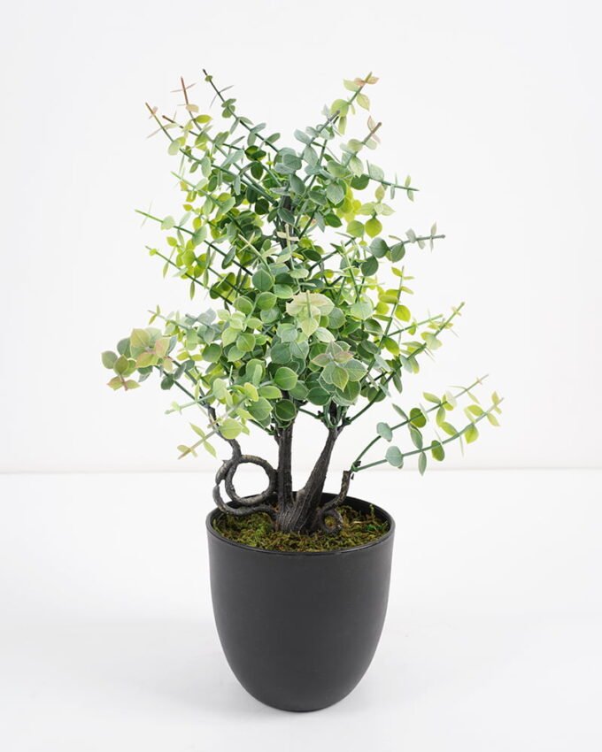 Artificial Plant 14*14*35cm Eucalyptus in pp pot GS-51721060 Potted Flowers&Plants YeahFlower is one of Chinese leading OEM manufacturers and exporters , supplying the silk flowers, wholesale artificial trees