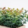 Artificial Plant 33*13*15cm  Eucalyptus in wood pot GS-51721044 Potted Flowers&Plants YeahFlower is one of Chinese leading OEM manufacturers and exporters , supplying the silk flowers, wholesale artificial trees