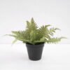 Artificial Plant Fern in pp pot GS-59121001 Potted Flowers&Plants YeahFlower is one of Chinese leading OEM manufacturers and exporters , supplying the silk flowers, wholesale artificial trees