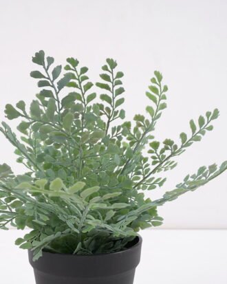 Artificial Plant Fern in pp pot GS-59121002 Potted Flowers&Plants YeahFlower is one of Chinese leading OEM manufacturers and exporters , supplying the silk flowers, wholesale artificial trees