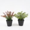 Artificial Plant Fern in pp pot GS-59121003 Potted Flowers&Plants YeahFlower is one of Chinese leading OEM manufacturers and exporters , supplying the silk flowers, wholesale artificial trees