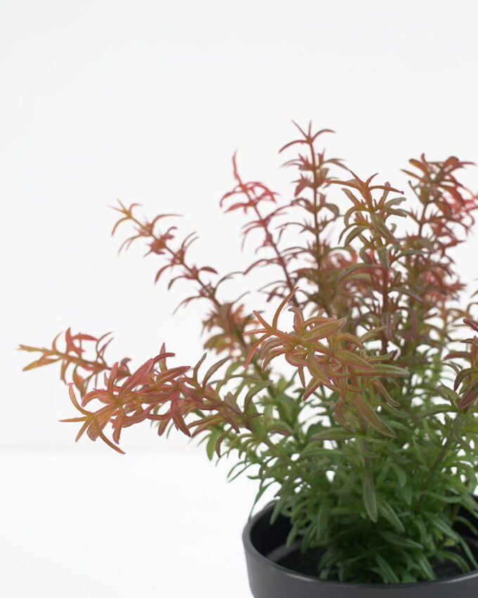 Artificial Plant Fern in pp pot GS-59121003 Potted Flowers&Plants YeahFlower is one of Chinese leading OEM manufacturers and exporters , supplying the silk flowers, wholesale artificial trees