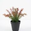 Artificial Plant Fern in pp pot GS-59121003 Potted Flowers&Plants YeahFlower is one of Chinese leading OEM manufacturers and exporters , supplying the silk flowers, wholesale artificial trees